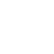 Image icon
